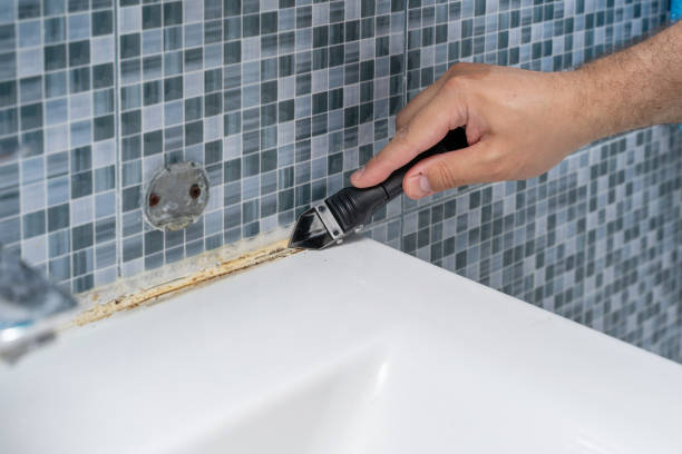 Best Basement Mold Remediation in Cartersville, GA