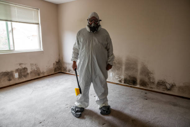 Best Kitchen Mold Remediation in Cartersville, GA